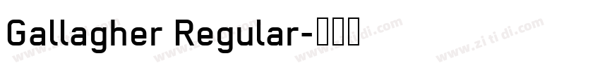 Gallagher Regular字体转换